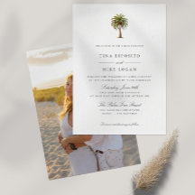 水エレガント色の熱帯性ヤシの木エキゾチック写真