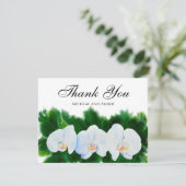 水エレガント色の白色ラン サンキューカード (スタンド正面)