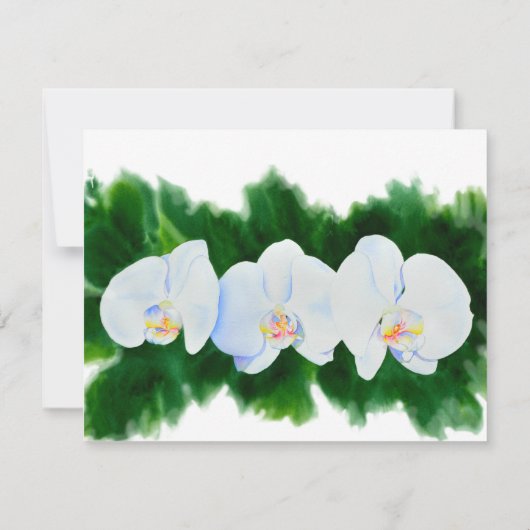 水エレガント色の白色ラン サンキューカード (裏面)