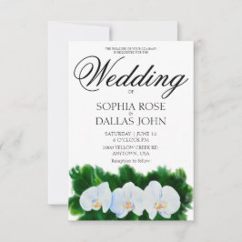 水エレガント色の白色ラン 招待状