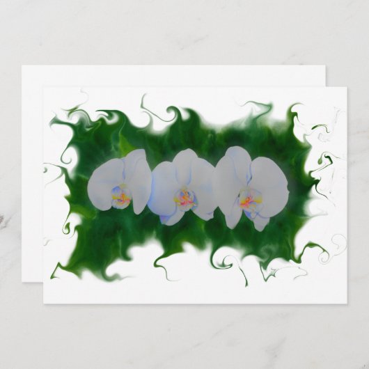 水エレガント色の絵を描蘭 (正面/裏面)