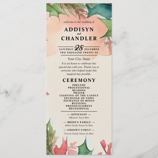 水エレガント色クリスマスリース結婚ズ プログラム (正面)