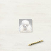 水エレガント色プードル ポストイット (デスク上)