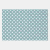 水エレガント色ボホサボテンと多肉類 ラッピングペーパーシート (正面2)