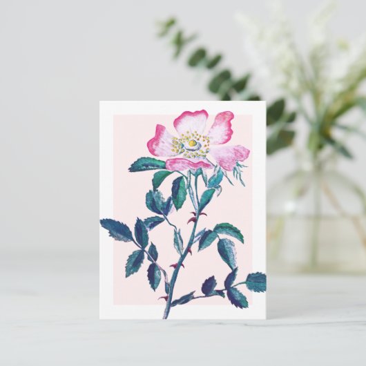 水エレガント色ワイルドバラ花母の日 ポストカード (スタンド正面)