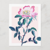 水エレガント色ワイルドバラ花母の日 ポストカード (正面)