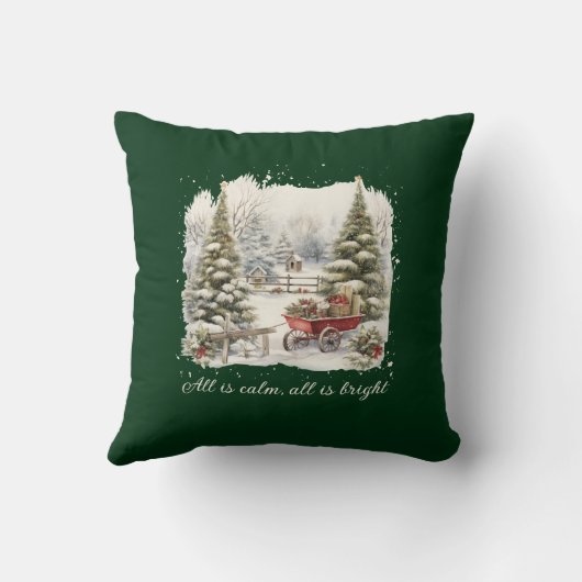 水エレガント色ヴィンテージクリスマススクリプト クッション (裏面)