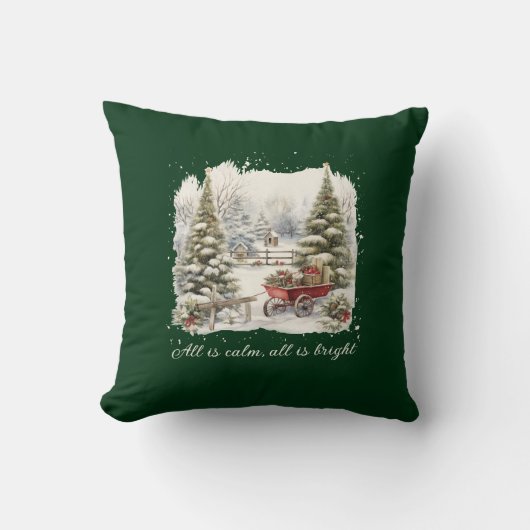 水エレガント色ヴィンテージクリスマススクリプト クッション (正面)