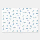 水エレガント色忘れは花 ラッピングペーパーシート (正面)