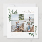 水エレガント色植物緑色写真 シーズンカード (正面)