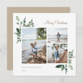 水エレガント色植物緑色写真 シーズンカード