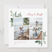 水エレガント色植物緑色写真 シーズンカード (正面)