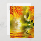 水カラフルに反射する紅葉2 ポストカード (正面/裏面)