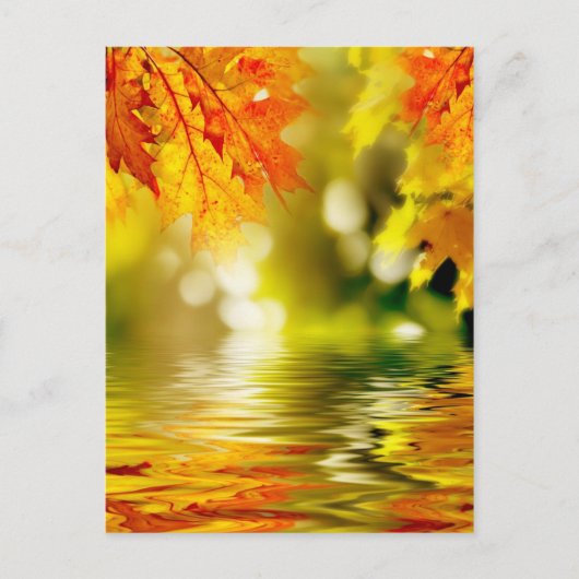 水カラフルに反射する紅葉2 ポストカード (正面)