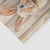 水カラフル色イースターバニー 薄葉紙 (詳細)