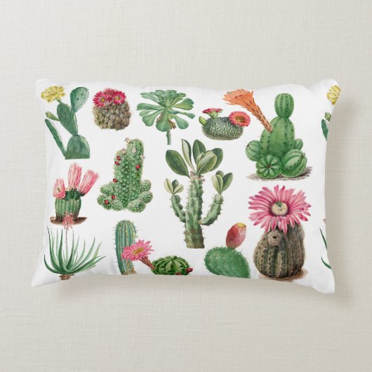 水カラフル色サボテンと多肉花 アクセントクッション (裏面)