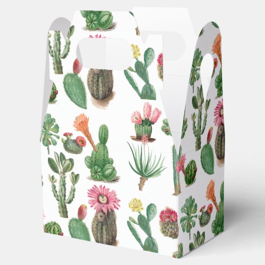 水カラフル色サボテンと多肉花 フェイバーボックス (オープン)