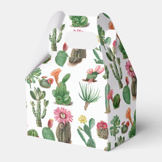 水カラフル色サボテンと多肉花 フェイバーボックス (正面サイド)