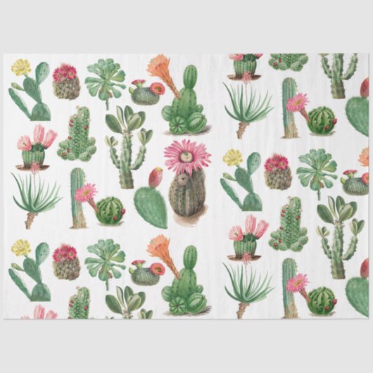 水カラフル色サボテンと多肉花 薄葉紙 (正面)