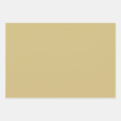 水カラフル色ホリーとクローバー ラッピングペーパーシート (正面2)