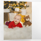 水カラフル色ポインセチア、松&アーチ写真 三つ折りカード (内部最初)