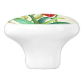 水カラーオレンジリリーイラストレーションオーバーベージュ セラミックノブ (側面)