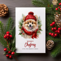 水カラークリスマスポメラニア犬犬