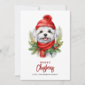 水カラークリスマスマルチーズ犬 シーズンカード (正面)