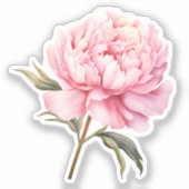 水カラーコケット要素 シール (正面)