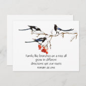 水カラーマッパイファミリー引用文動物自然 ポストカード (正面/裏面)