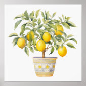 水カラー地中海のレモンツリーウォールアート ポスター (正面)