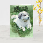 水カラー素晴らしピレネーリラックスズ カード (黄色い花)