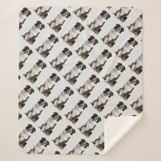 水カラー縁どコリードッグペットシェルパブランケット シェルパブランケット (正面)