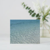 水カリブの紙 (スタンド正面)