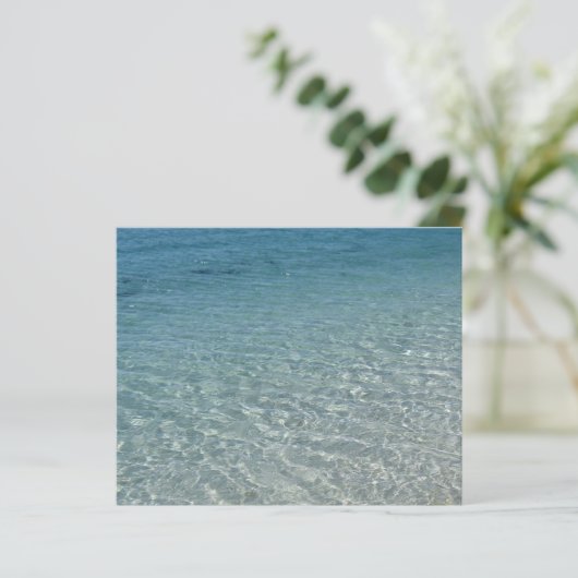 水カリブの紙 (スタンド正面)