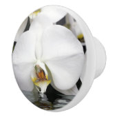 水キャビネットと引き出し引き出し引き出しから出現する蘭 セラミックノブ (右)