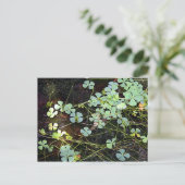 水クローバー ポストカード (スタンド正面)