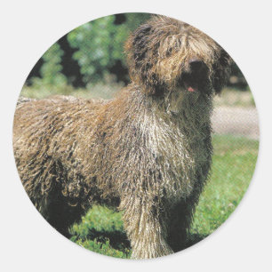 水スペインの犬のステッカー ラウンドシール