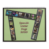 水スペインの犬2020 カレンダー (カバー)