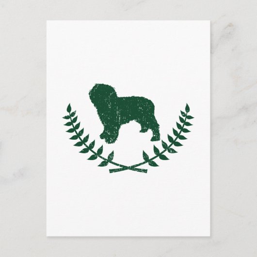 水スペインの犬 ポストカード (正面)