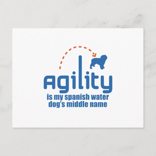 水スペインの犬 ポストカード (正面)