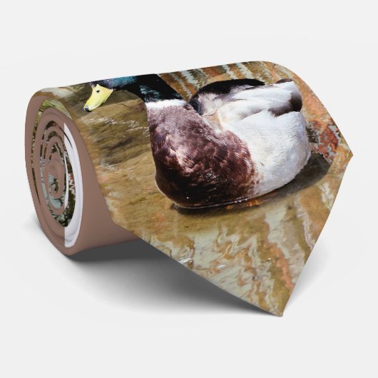 水タイのマガモ ネクタイ (ロール)