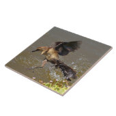 水タイル上の飛んでいる格子状の鳥歩く タイル (側面)