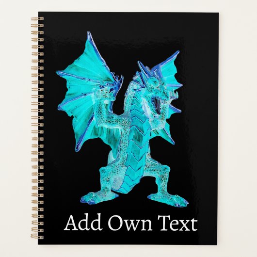 水ドラゴン ファンタジー プランナー 神話の海 Aqua Water Dragon (正面)