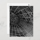 水ビーズ付きクモの巣 ポストカード (正面/裏面)