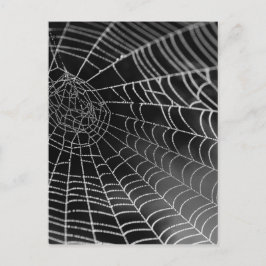 水ビーズ付きクモの巣 ポストカード