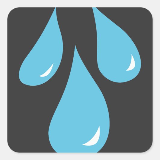 水フード付きスウェットシャツ スクエアシール (正面)