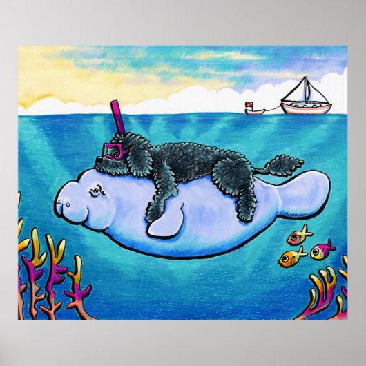 水ベビーバイアンディ ポスター (正面)