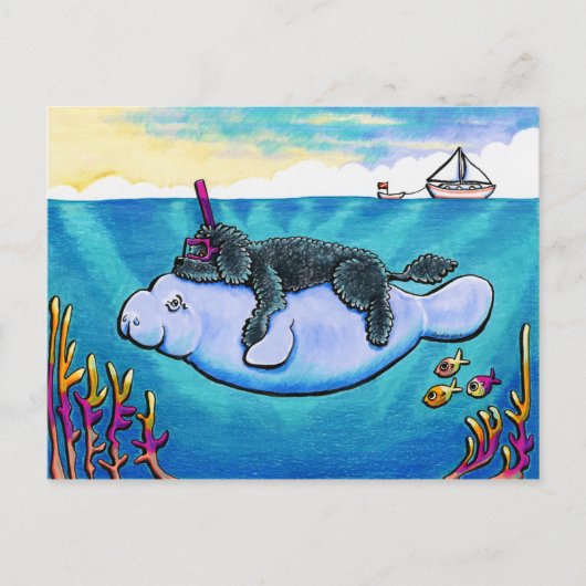 水ベビー ポストカード (正面)