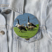 水ボタンによる草のカナダのガチョウ 缶バッジ (インサイチュ)